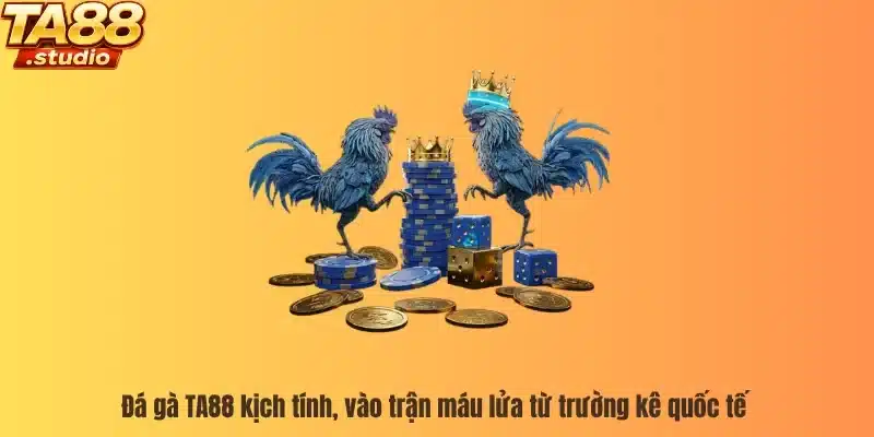 Đá gà TA88 kịch tính, vào trận máu lửa từ trường kê quốc tế 