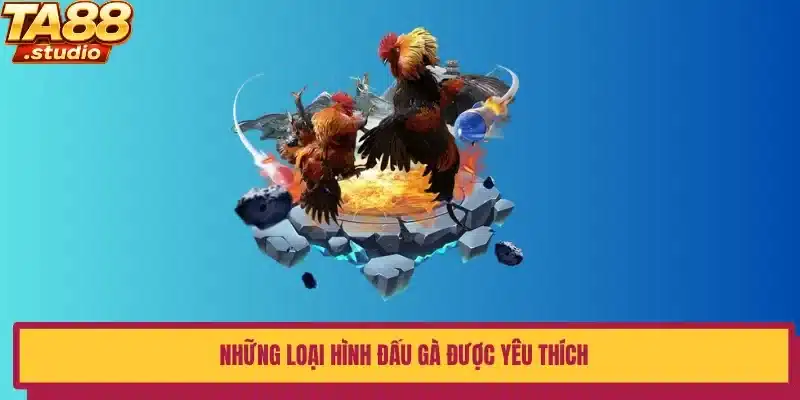 Những loại hình đấu gà được yêu thích